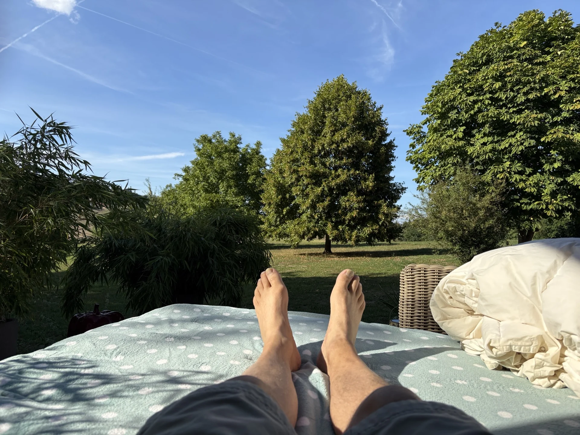 Blick von der Sommerlounge über die Wiese zur Hochzeitslinde